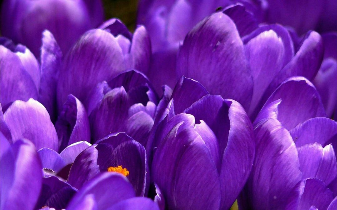 Uplifting Moments – Sample Post